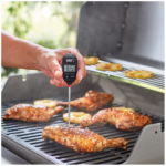 Θερμόμετρο Weber - Εικόνα 2